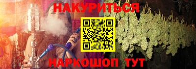 индика Кингисепп