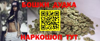 индика Кингисепп