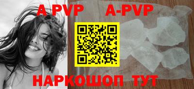 индика Кингисепп