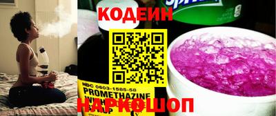 индика Кингисепп