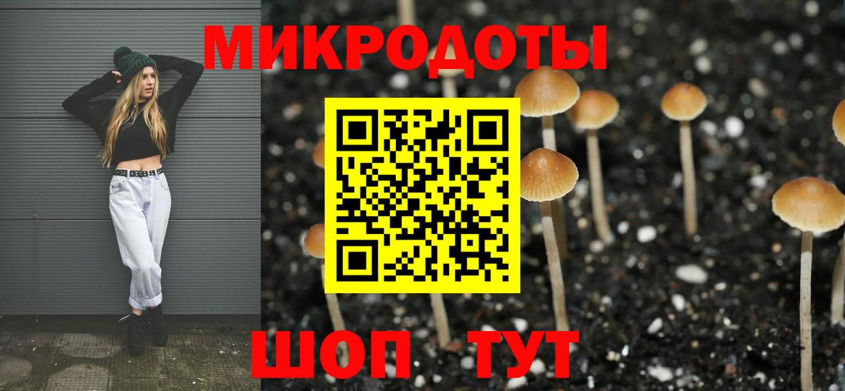 Псилоцибиновые грибы ЛСД  Псилоцибиновые грибы ЛСД  Курганинск  Вход с VPN 